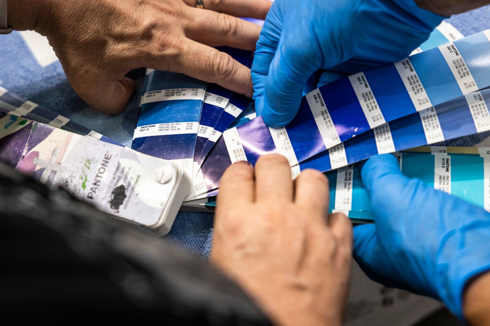 Nueva Wilier Urta SLR edición campeón de Europa para Fabian