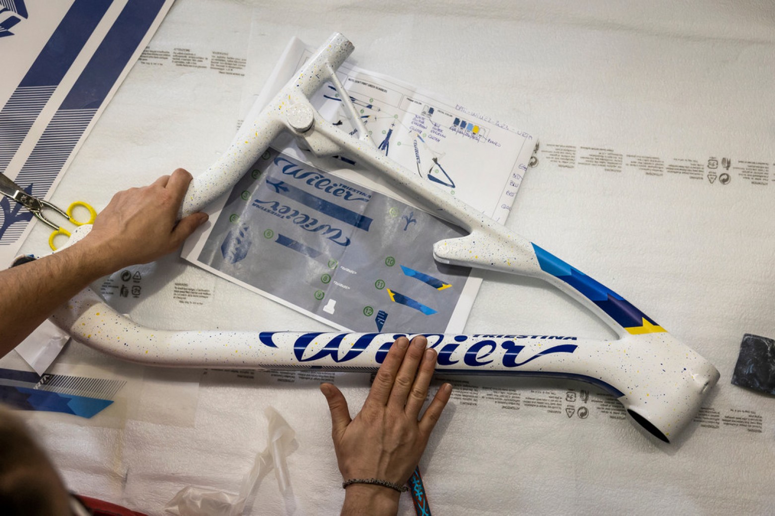 Nueva Wilier Urta SLR edición campeón de Europa para Fabian