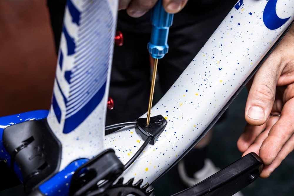 Nueva Wilier Urta SLR edición campeón de Europa para Fabian