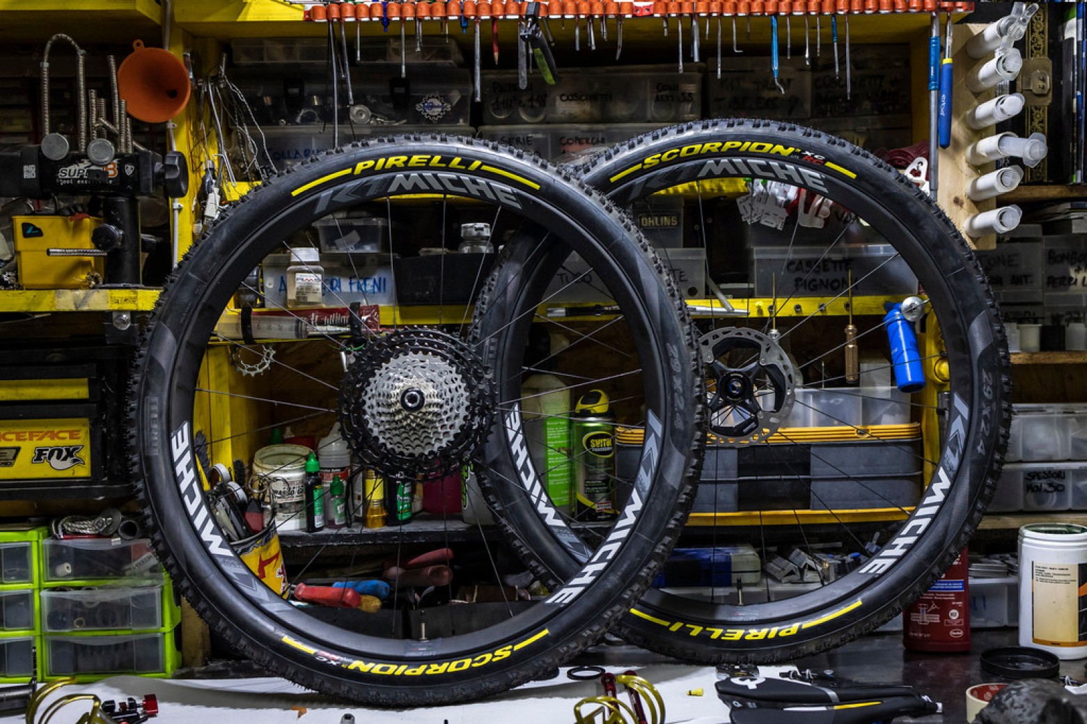 Nueva Wilier Urta SLR edición campeón de Europa para Fabian