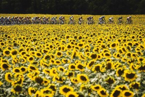 Laporte deixa os sprinters chupando o dedo