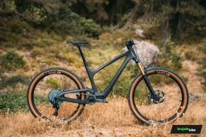 We test the exclusive Bold Linkin: love at first sight