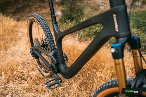 We test the exclusive Bold Linkin: love at first sight