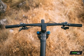 We test the exclusive Bold Linkin: love at first sight