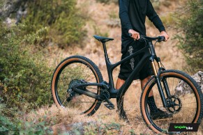 We test the exclusive Bold Linkin: love at first sight