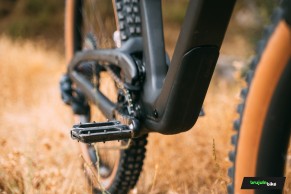 We test the exclusive Bold Linkin: love at first sight