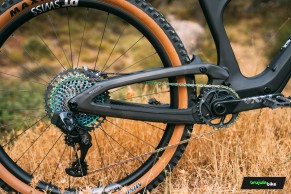 We test the exclusive Bold Linkin: love at first sight