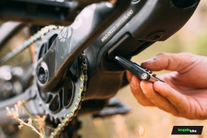 We test the exclusive Bold Linkin: love at first sight