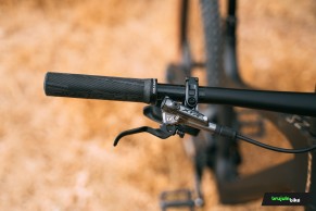 We test the exclusive Bold Linkin: love at first sight