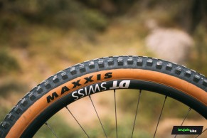 We test the exclusive Bold Linkin: love at first sight