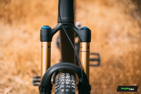 We test the exclusive Bold Linkin: love at first sight