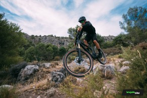 We test the exclusive Bold Linkin: love at first sight