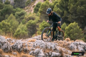 We test the exclusive Bold Linkin: love at first sight