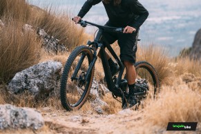 We test the exclusive Bold Linkin: love at first sight