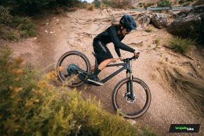 We test the exclusive Bold Linkin: love at first sight