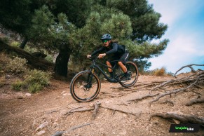 We test the exclusive Bold Linkin: love at first sight