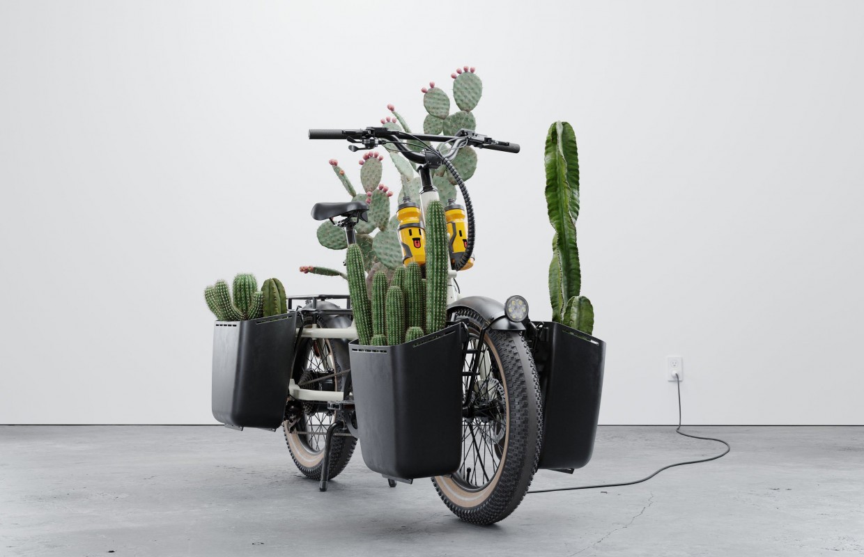 La nueva marca de Specialized se llama Globe Bikes