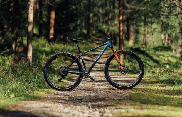 Wilier best sale hardtail mtb