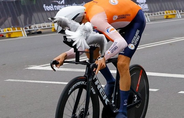 Las urracas están atacando a los ciclistas en el Mundial