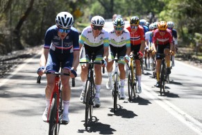 Remco Evenepoel World Champion