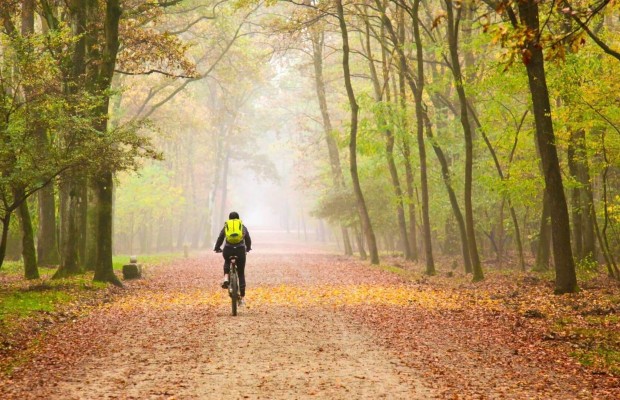 Razones para alejarte de la bicicleta durante algún tiempo