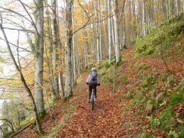 Essential cycling routes (MTB, road and gravel) to enjoy autumn in Spain