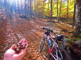 Essential cycling routes (MTB, road and gravel) to enjoy autumn in Spain