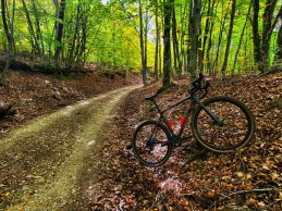 Essential cycling routes (MTB, road and gravel) to enjoy autumn in Spain