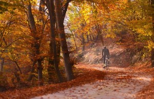 Why autumn is the best season for cycling