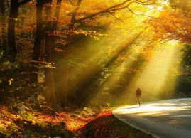Why autumn is the best season for cycling