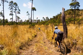 Conselhos para deixar sua gravel mais confortável