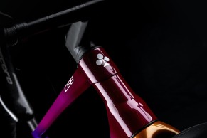 Edición especial Colnago C68 Motoki Yoshio
