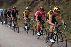 How much time would a professional cyclist take out on an amateur in a race?