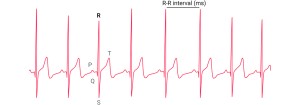 What is heart rate variability and how does it affect the cyclist?