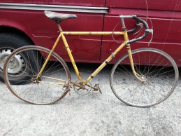 Which bicycle brand has won more Tour de France