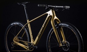 american-eagle-atlanta-2-gold