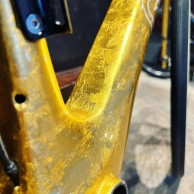 Esta Genesis foi pintada com ouro 24 quilates