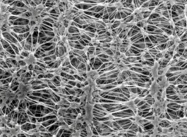 Tous les vêtements imperméables vont changer