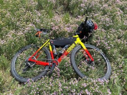 Specialized stops its ambassador programme