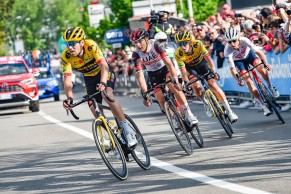 Jumbo-Visma is auctioning the bikes on which they have raced in 2022