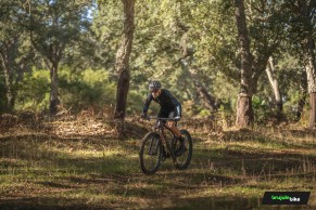 We test the new Scott Scale RC SL 2023: a new generation racing bike