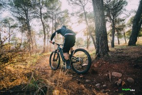 We test the Cannondale Motera Neo Carbon LT 2: pure power