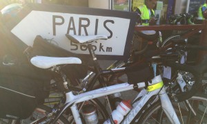 What are brevets and randonnées?