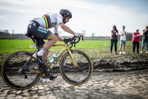 Peter Sagan, the career of a great rider