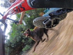 razones-pedales-plataforma