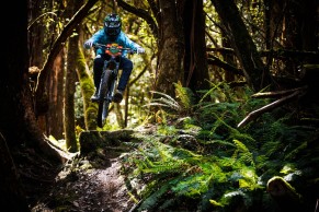 These are all the UCI MTB 2023 teams by modality