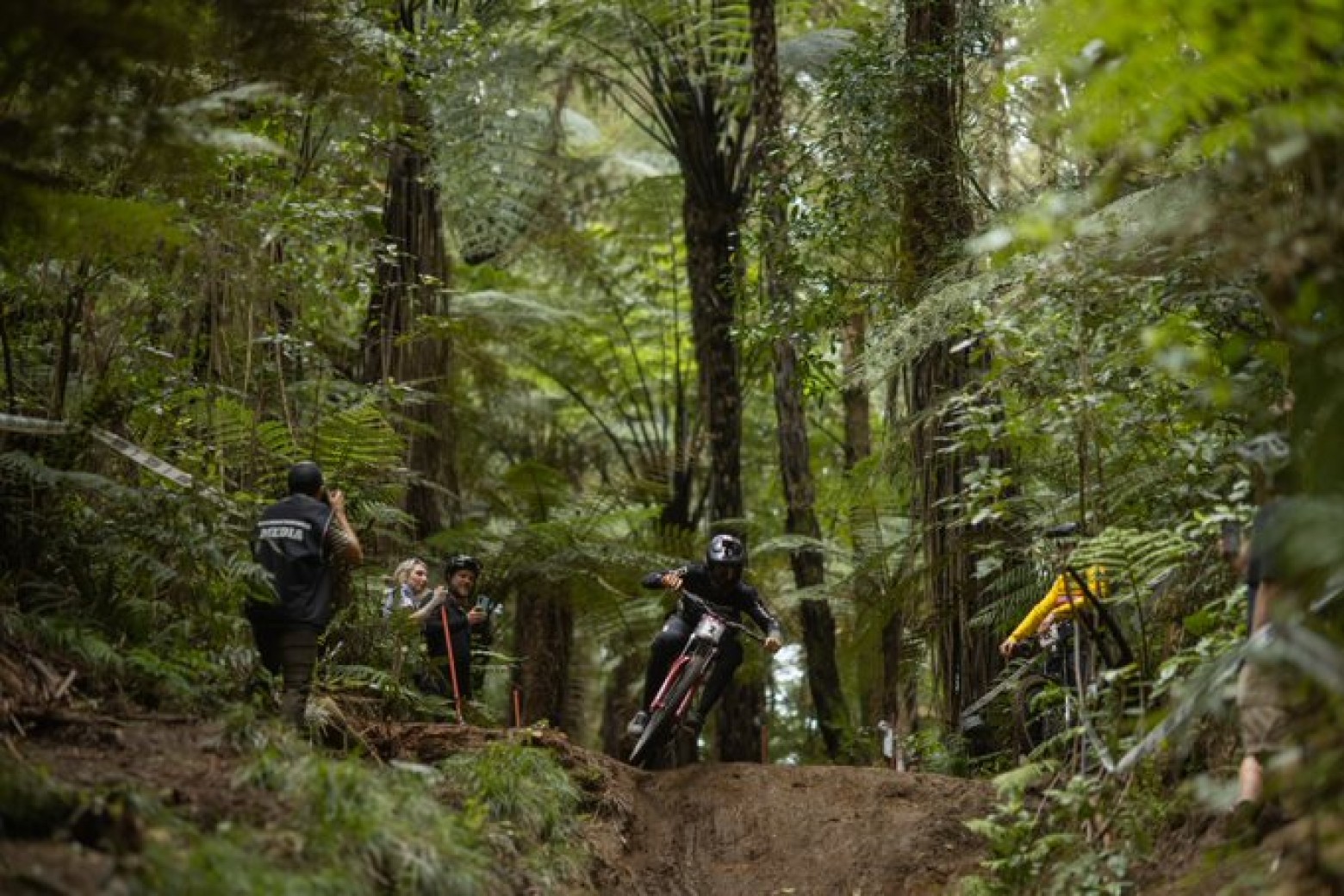 red bull crankworx 2020