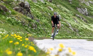 Pinarello adds two new models to its catalog