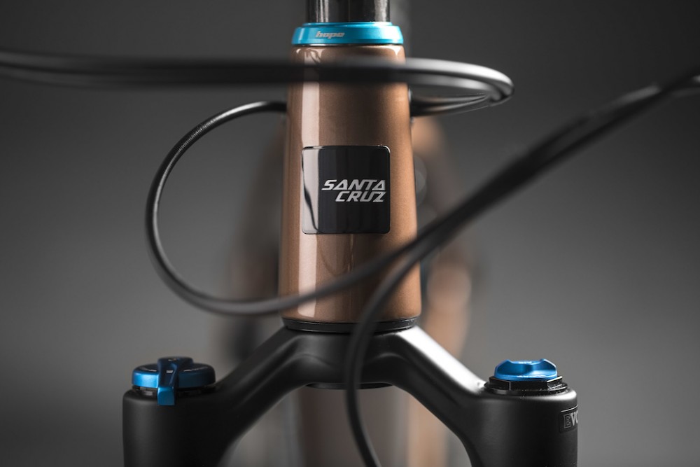 santa cruz chameleon c