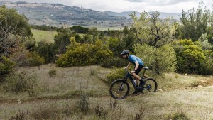 Which is better for weight loss, running, walking or cycling?